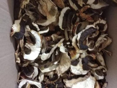 Продам Сушеные белые грибы