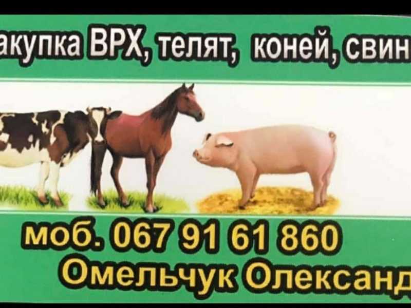 Куплю