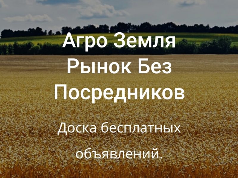 Продажа земли пай