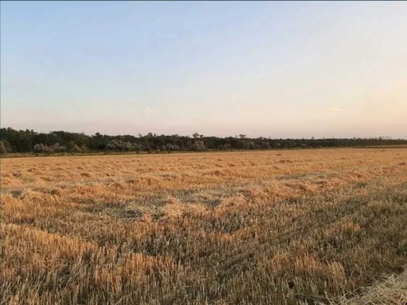 Возьму в аренду или субаренду с/х земели