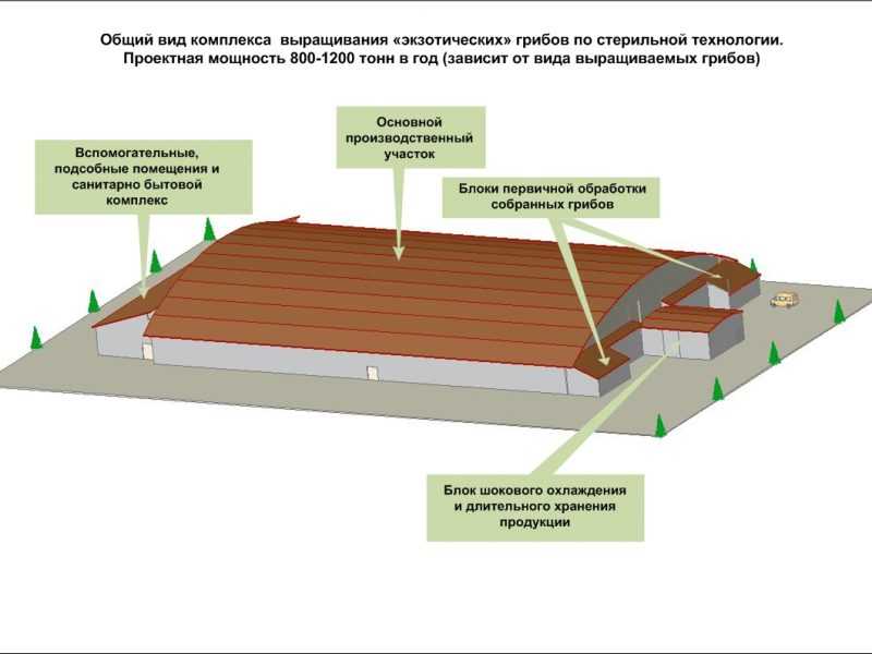 Всё для выращивания грибов