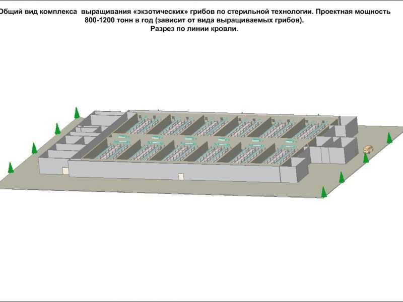 Всё для выращивания грибов