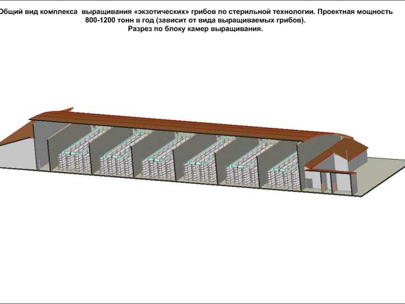 Всё для выращивания грибов