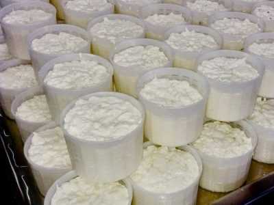 #молочніпродукти #сироварня #сир #технології #обладнання #переробкамолока #молочнийцех #молокозавод