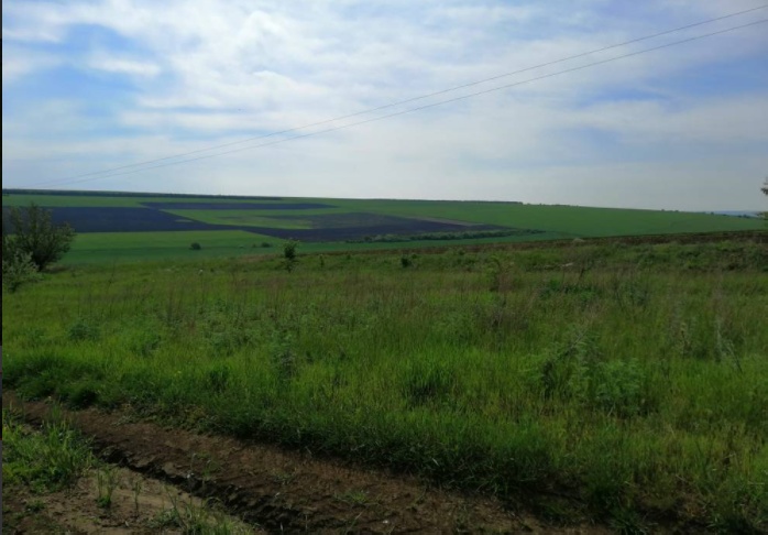 Сдам в долгосрочную аренду паевую землю.