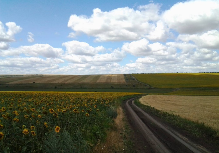 Сдам в долгосрочную аренду паевую землю.