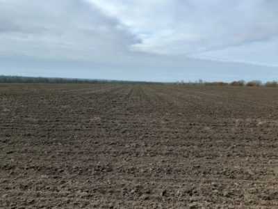 Возьму в аренду паи в Николаевской и Херсонской Областях