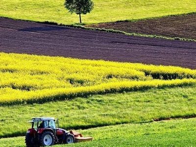 Земельный участок, ферму, готовый бизнес с сх. землей от 15 га в Одесской, Николаевской