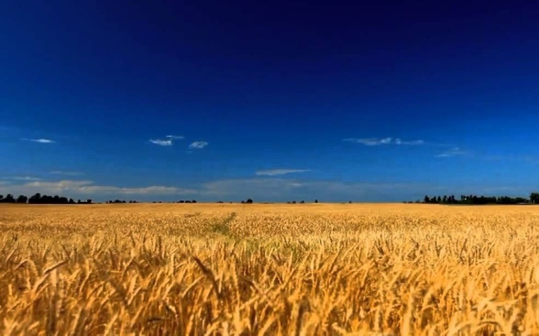 Купим земли осг, паи в Никопольском районе