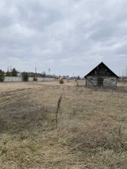 Оренда фермы в с Белый Берег Вышгородский район