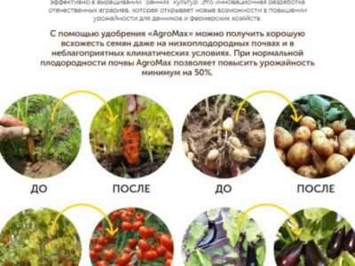 AGROMAX Оригинал – купить оптом в Украине удобрение Агромакс.