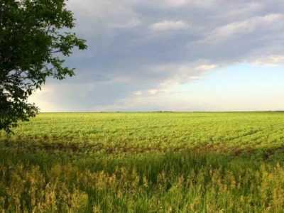 Продам земельный пай в Полтавской обл. город Карловка