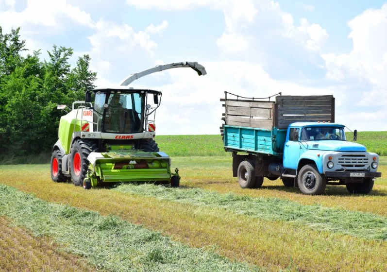 Услуги комбайнов, уборка сенажа и силоса CLAAS JAGUAR / послуги Ягуар