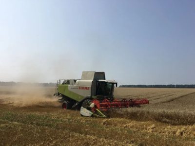 Услуги по уборке комбайном CLAAS Lexion, послуги комбайном