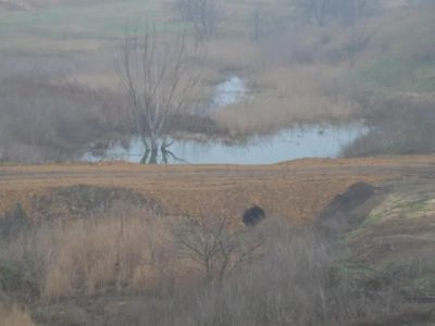 сдам в долгосрочную аренду земельный участок под сх производство