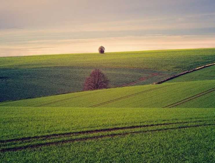 Земля, продам паи в оренде