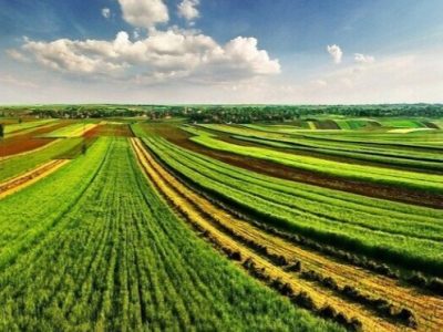 Аренда земли сельскохозяйственного назначения