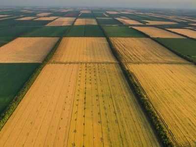 Куплю пай, землю сільськогосподарського призначення