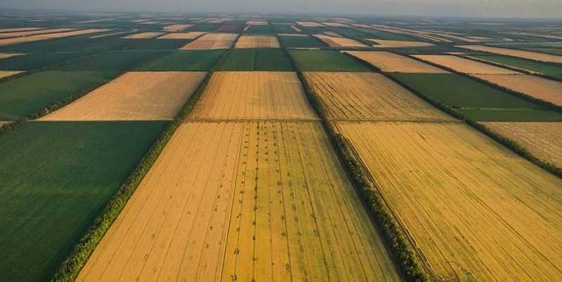 Куплю пай, землю сільськогосподарського призначення