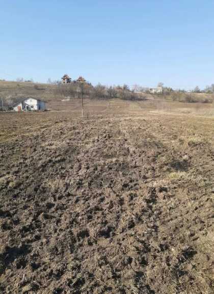 Сдам в аренду огород