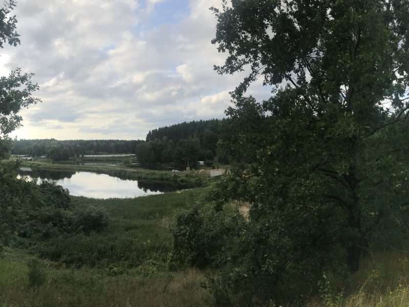 Продам участок 15 га на берегу реки Рокач в с. Мироцкое ( Бучанська объєднана громада)
