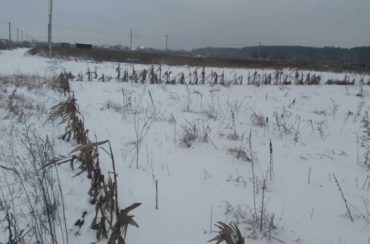 продам пай на Крушинці