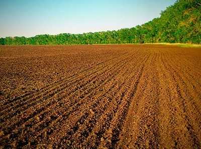 Продам 2-4 гектара сільськогосподарської землі.