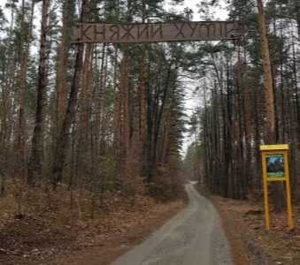 Довгострокова оренда землі сільськогосподарського призначення