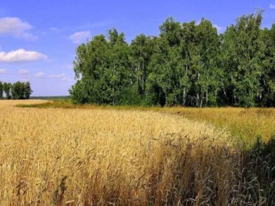 Дешево Земля Пай ОСГ Обмін