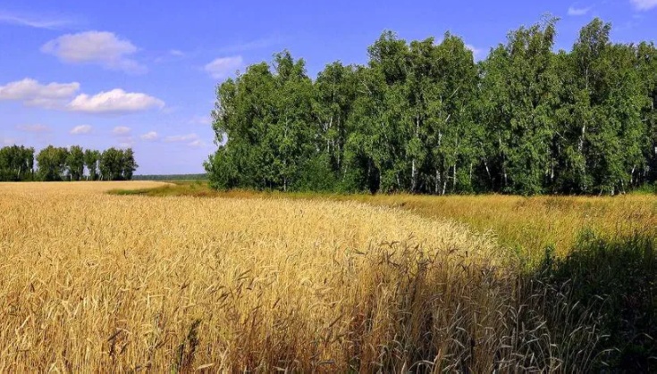 Дешево Земля Пай ОСГ Обмін