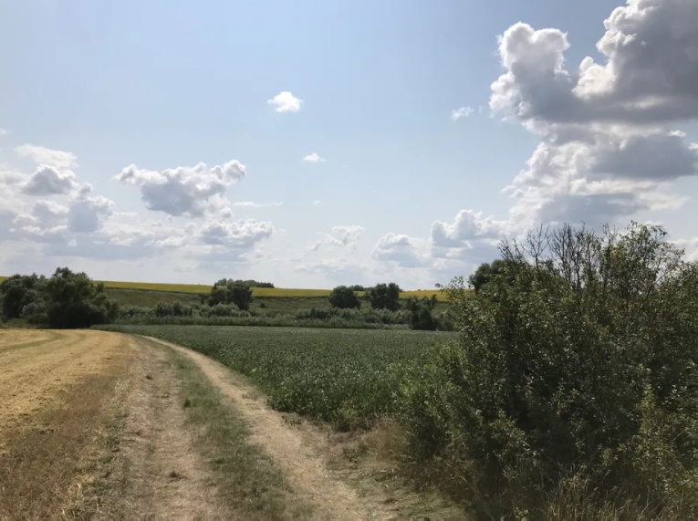 Сдам в ареду осг землю