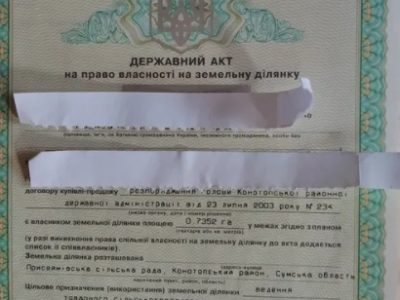 Продам пай почти 5 гектар с сенокосом