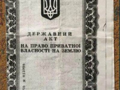 Продається пай 1,3 га