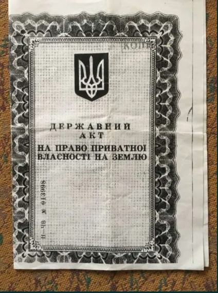 Продається пай 1,3 га