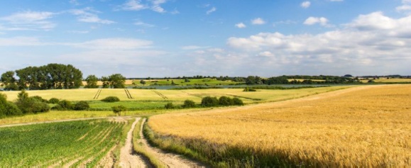 Продам пай 2 га Ківерцівський район Волинська область