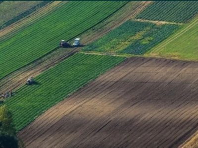 Аренда земли, пая