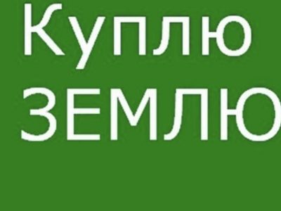 Куплю пай або осг в Тернопільській області