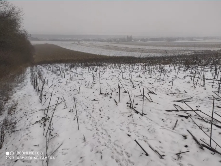 Возьму в аренду земельный пай.