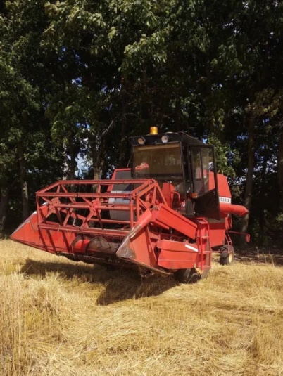 Комбайн Massey Ferguson 206