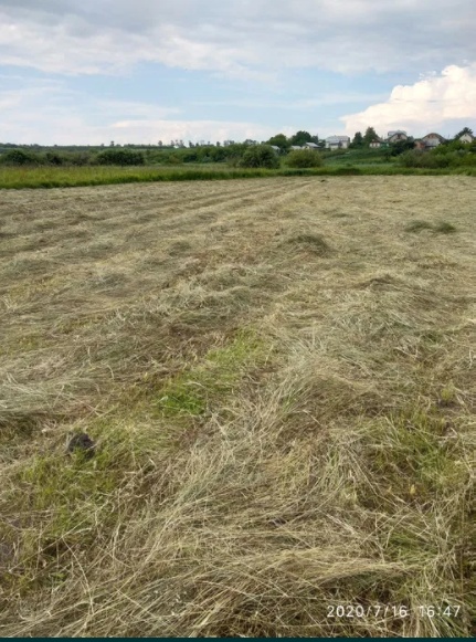 Земельна ділянка, пай, оренда